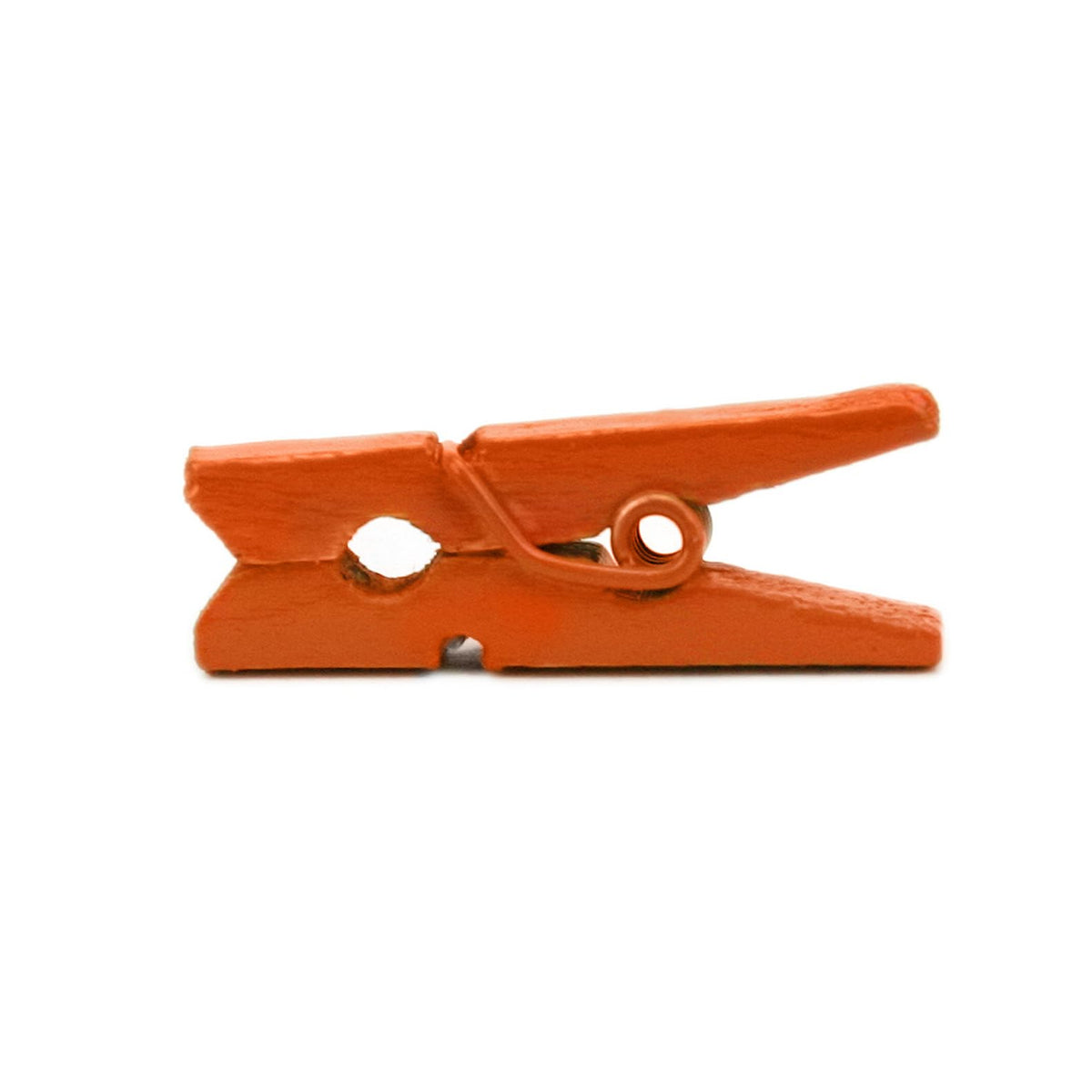 LWR CRAFTS Wooden Mini Clothespins 15 Colors 100 Per Pack 1" 2.5cm (All)