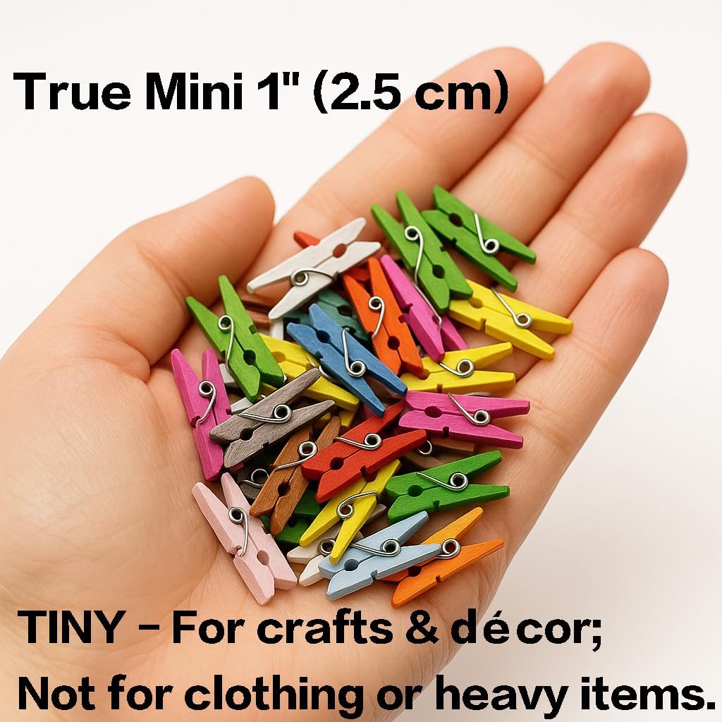 LWR CRAFTS Wooden Mini Clothespins 15 Colors 100 Per Pack 1" 2.5cm (All)